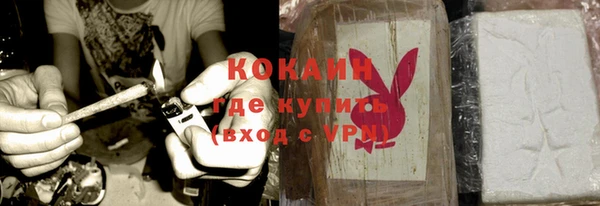 сатива Богданович