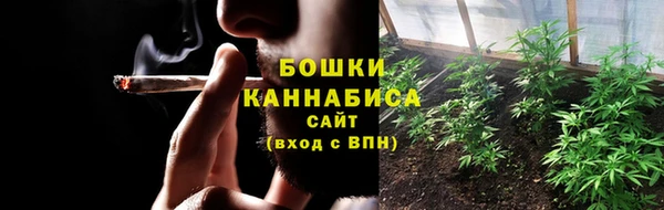 сатива Богданович