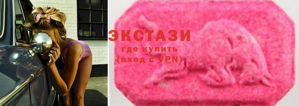 ECSTASY Богородицк