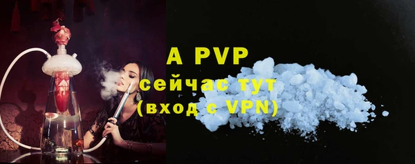 сатива Богданович