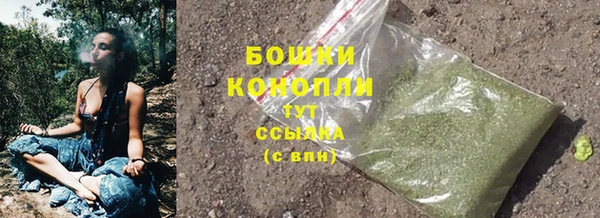 ECSTASY Богородицк