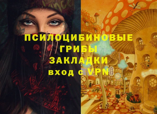 ECSTASY Богородицк