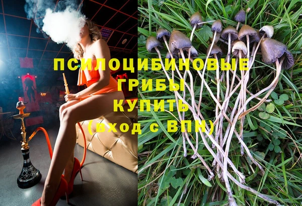 apvp Богородск