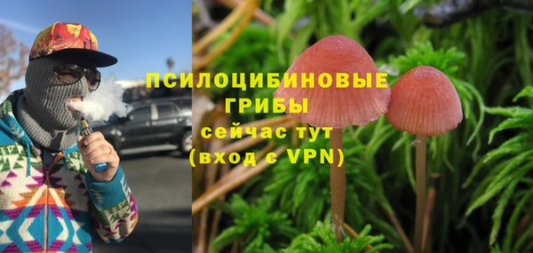 ECSTASY Богородицк