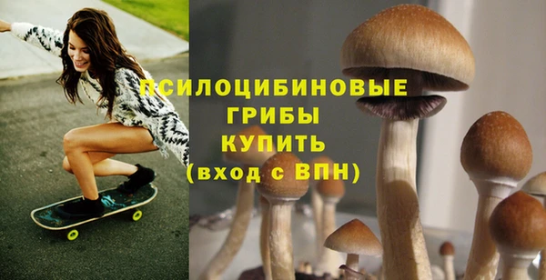 сатива Богданович