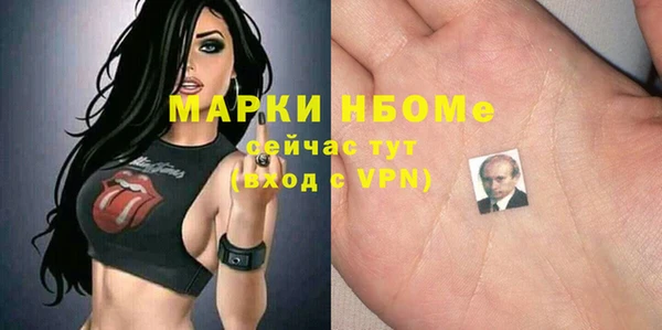 ECSTASY Богородицк