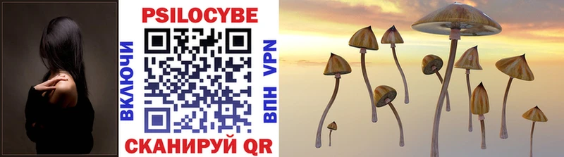 Псилоцибиновые грибы MAGIC MUSHROOMS  Купить где  Туринск 