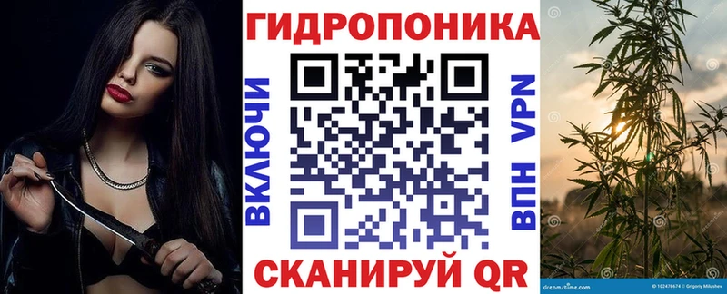 Купить где Туринск Каннабис индика